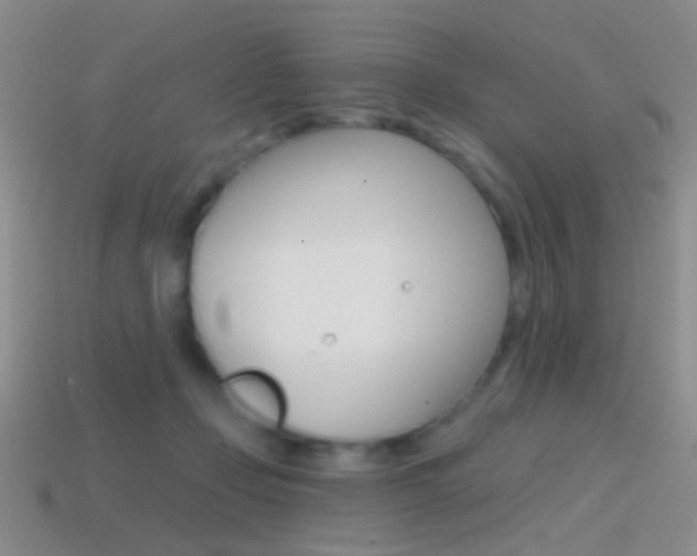 X0000114580365200910191059