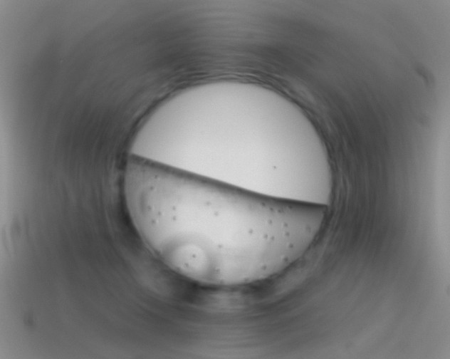 X0000114580366200910191059