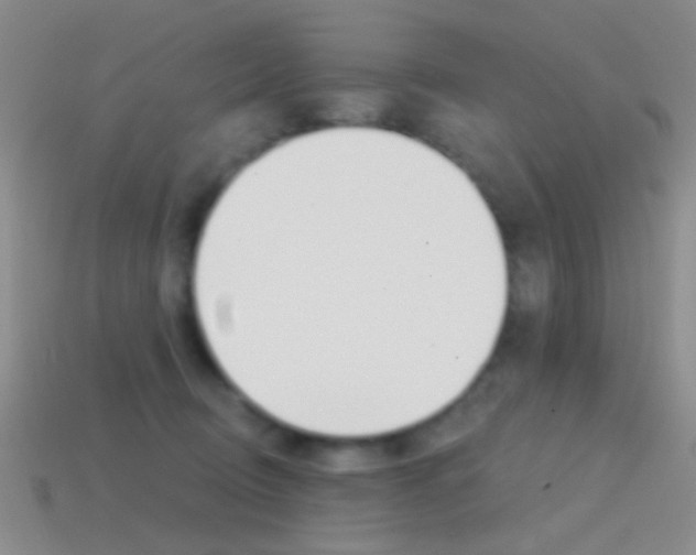 X0000114580370200910191059