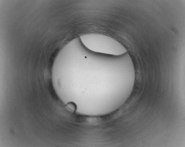 X0000114580371200910191059