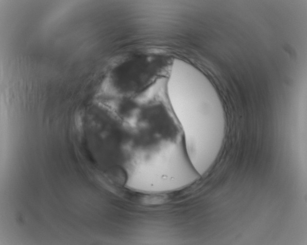 X0000114580373200910191059