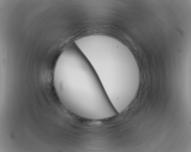 X0000114580374200910191059