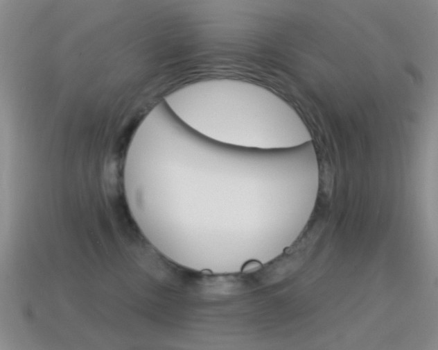 X0000114580378200910191059