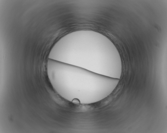 X0000114580379200910191059