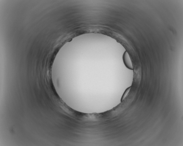 X0000114580381200910191059