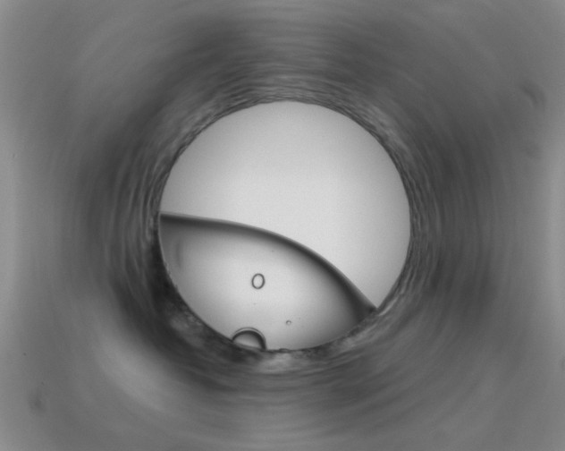 X0000114580382200910191059