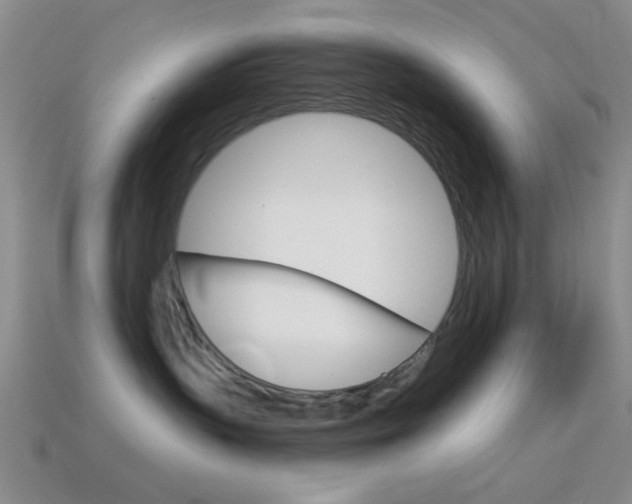 X0000114580383200910191100