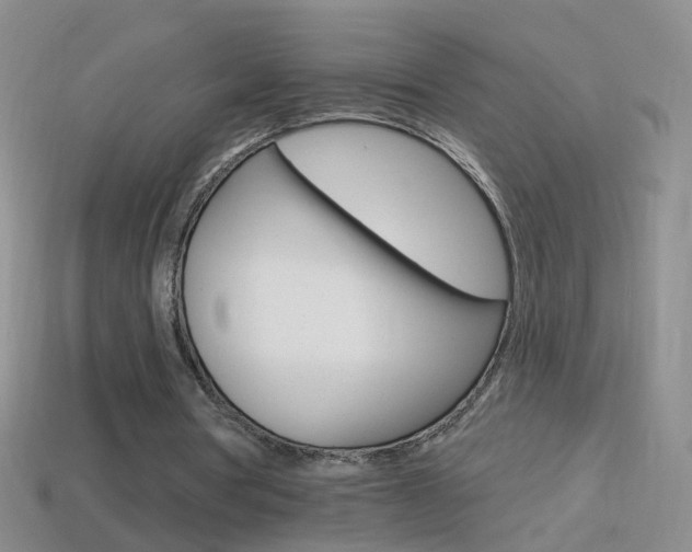 X0000114580386200910191059