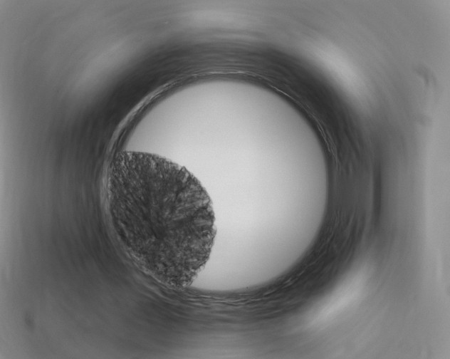 X0000114580387200910191059