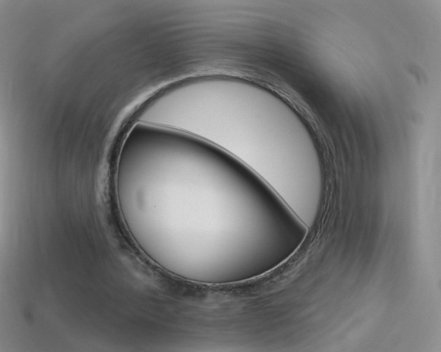 X0000114580388200910191059