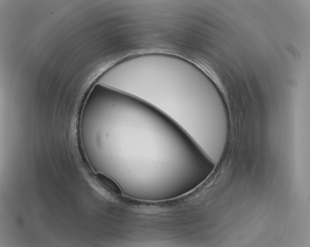 X0000114580389200910191059