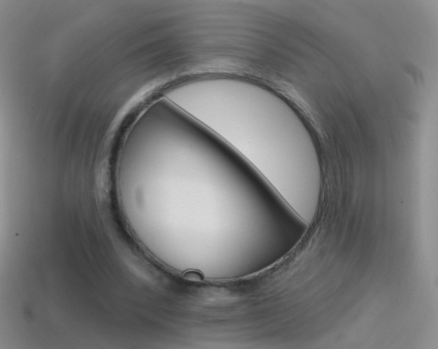 X0000114580392200910191059