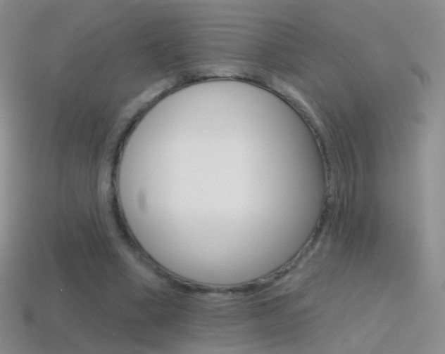 X0000114580394200910191059