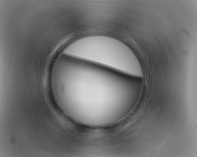 X0000114580396200910191059