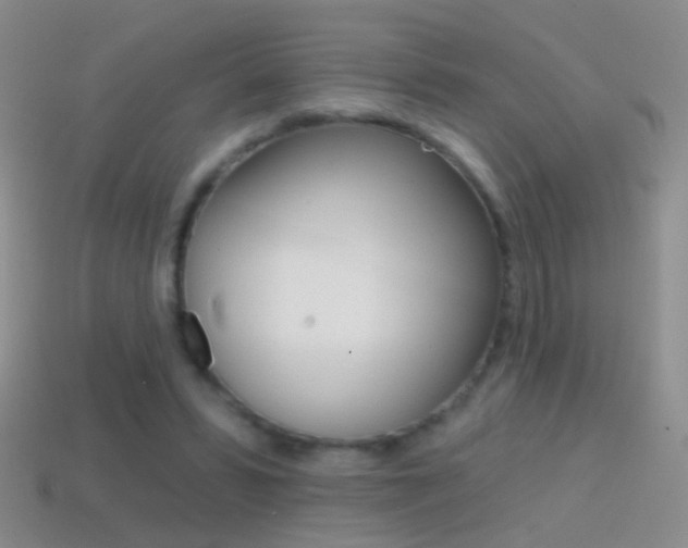 X0000114580399200910191059