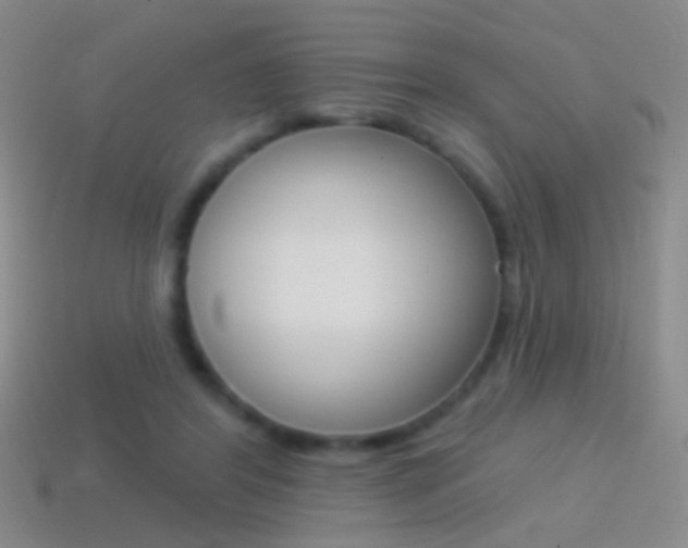 X0000114580404200910191059