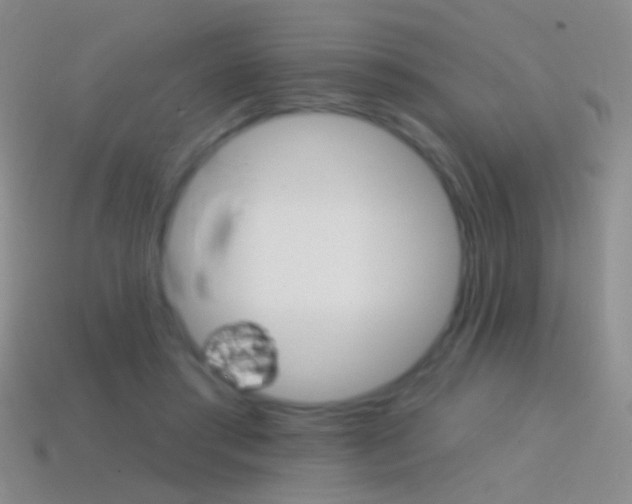 X0000114580405200910191059