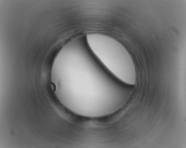 X0000114580408200910191059