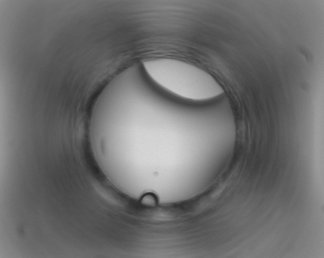 X0000114580412200910191059