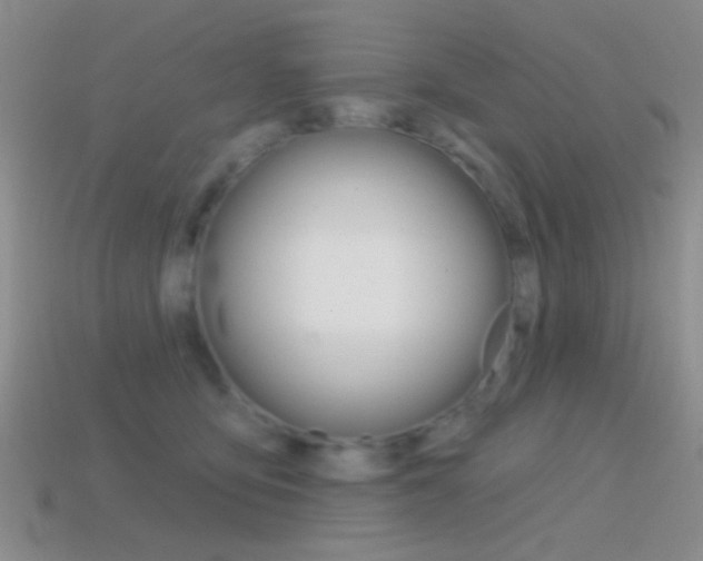X0000114580419200910191058