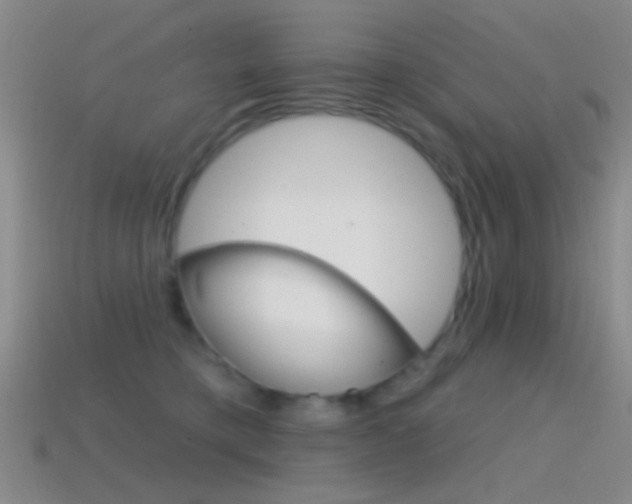 X0000114580421200910191058