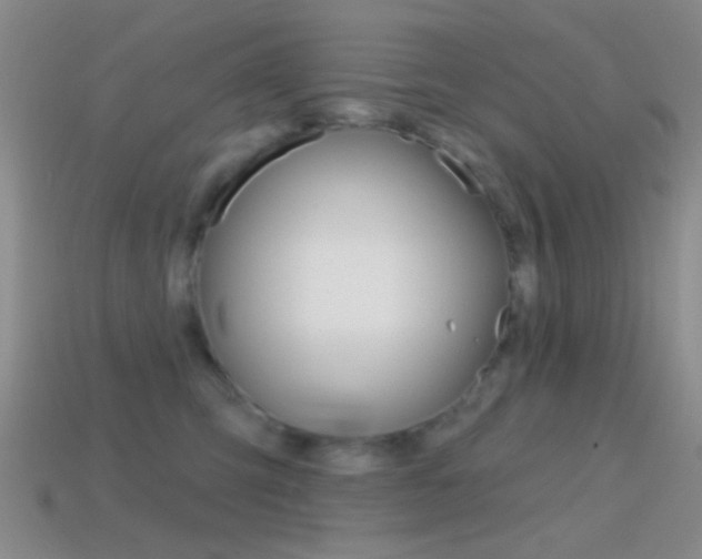X0000114580423200910191058