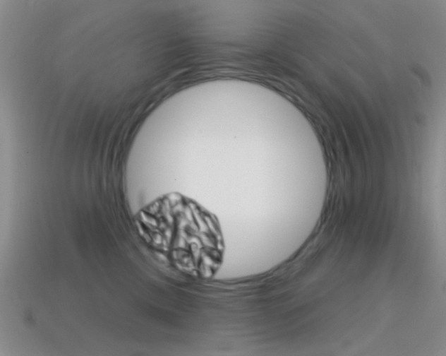 X0000114580425200910191058
