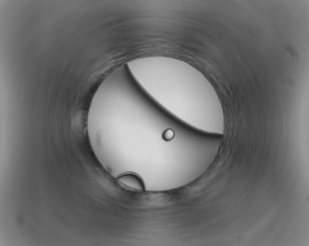 X0000114580428200910191058