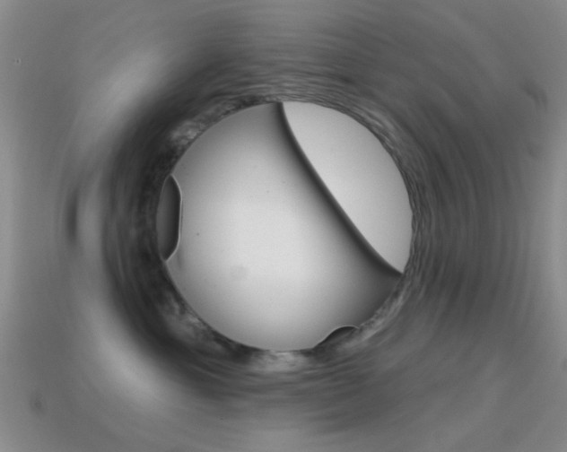 X0000114580429200910191058