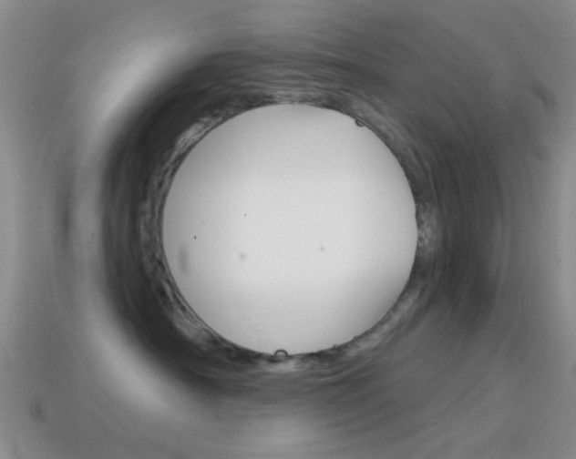 X0000114580430200910191058