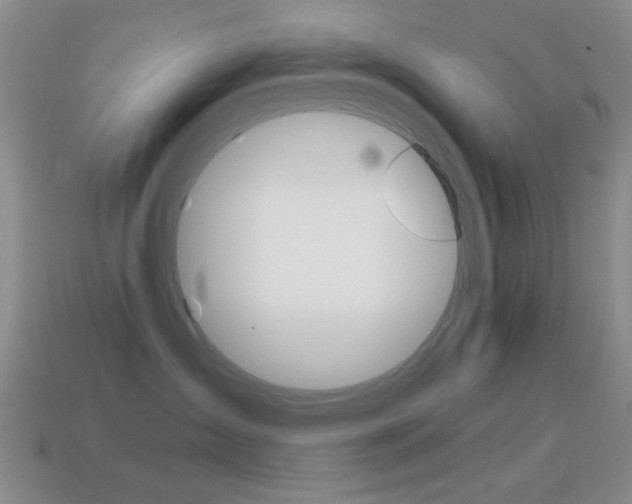 X0000114580431200910191058