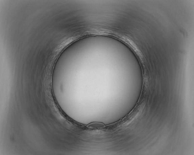 X0000114580433200910191058