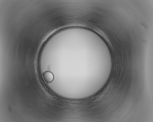 X0000114580436200910191058