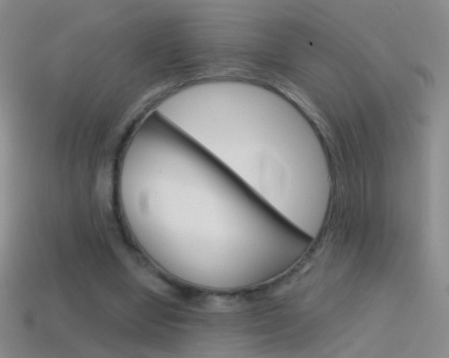 X0000114580442200910191058