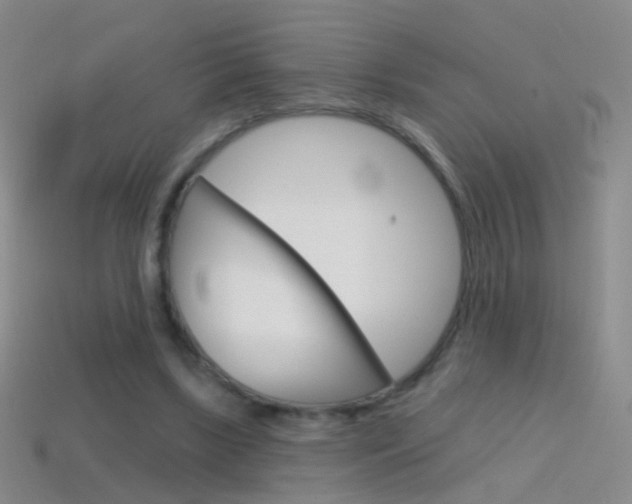 X0000114580443200910191058