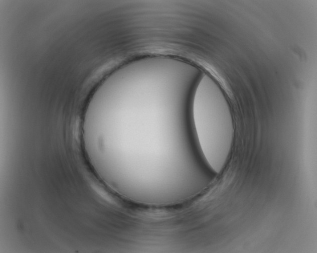 X0000114580445200910191058