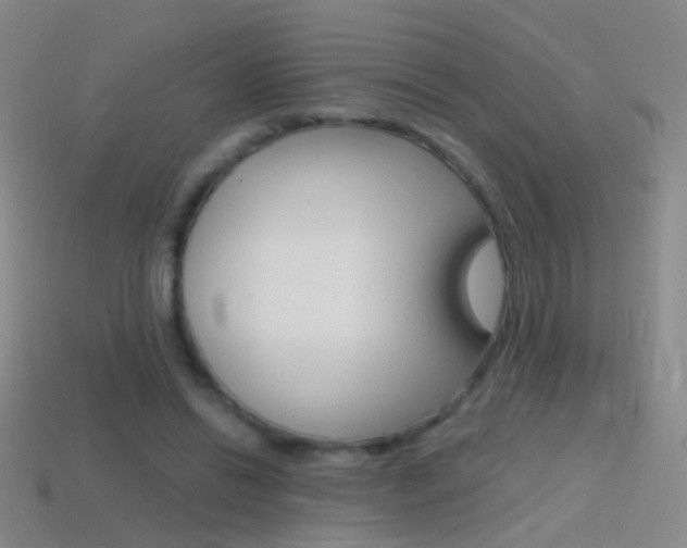 X0000114580446200910191058