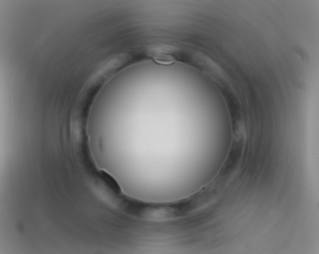 X0000114580452200910191058