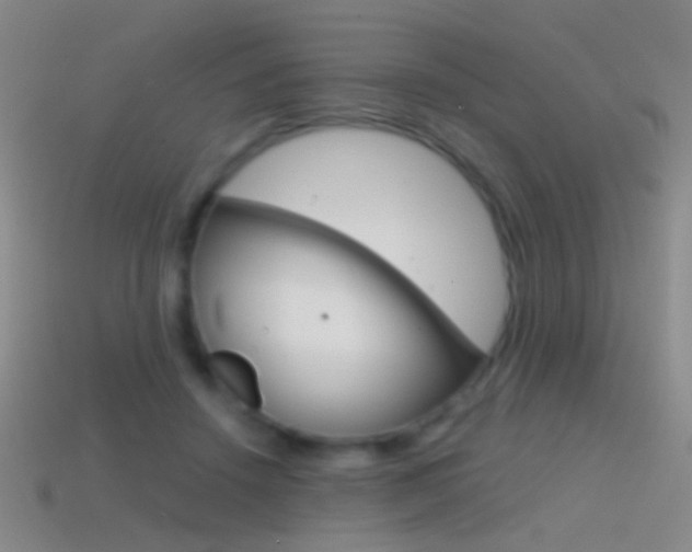 X0000114580456200910191058