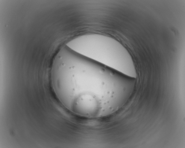 X0000114580462200910191058