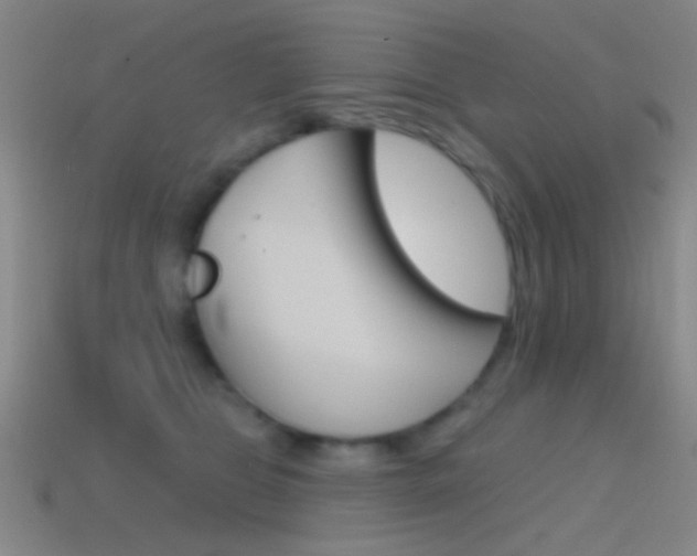 X0000114580469200910191058