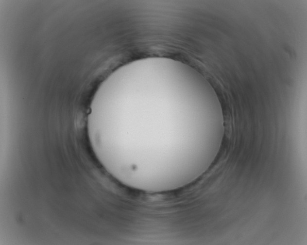 X0000114580472200910191058