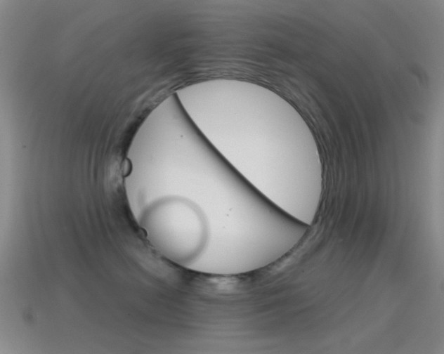 X0000114580478200910191058