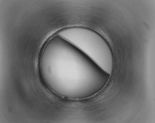 X0000114580483200910191057
