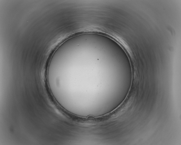 X0000114580485200910191057