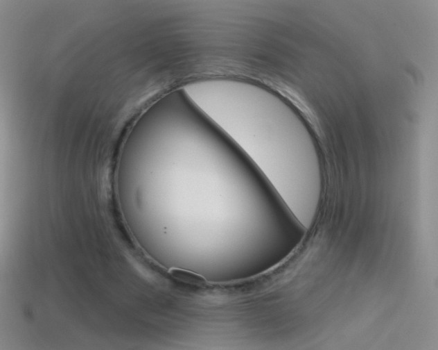 X0000114580489200910191057