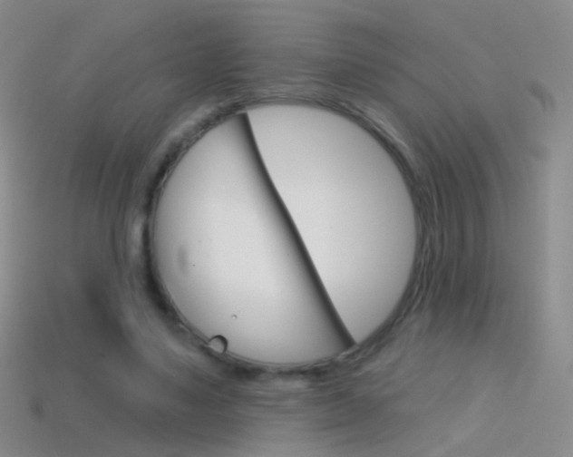 X0000114580491200910191057