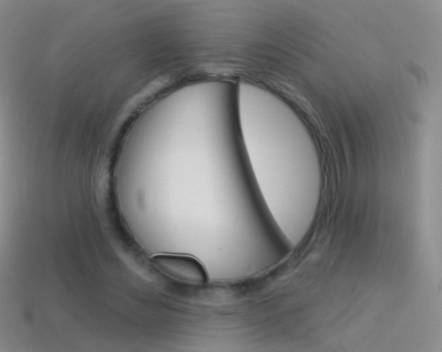 X0000114580492200910191057