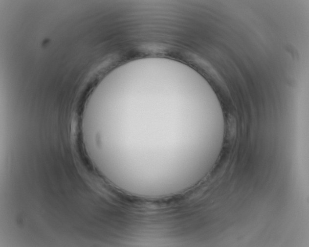 X0000114580494200910191057