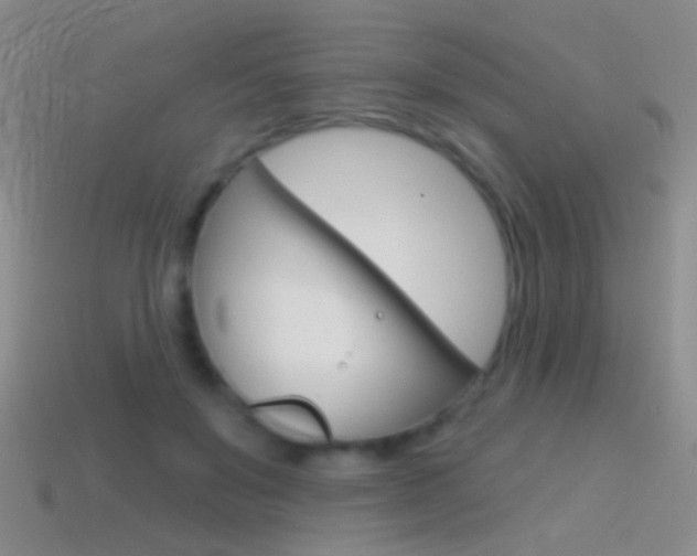 X0000114580503200910191057